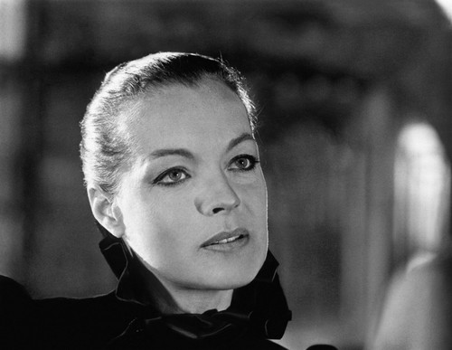 Romy schneider sexy 5x11 - romy, 8.5x11