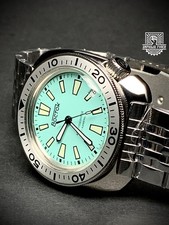 Tartaruga Vostok Amphibia