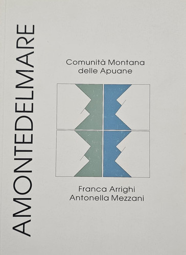 Libro amontedelmare comunità - libro,