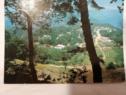Cartolina gambarie - cartolina,