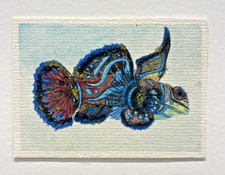 Carta artistica originale ACEO
