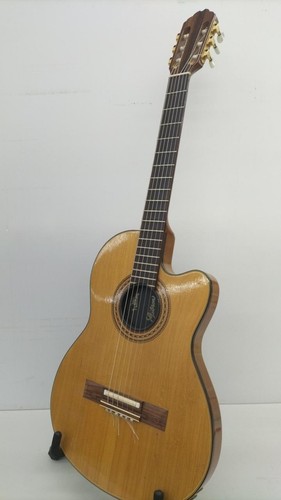 Gibson usa atkins an - usa, ce