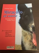 Volontari Amici / Miracolo Al