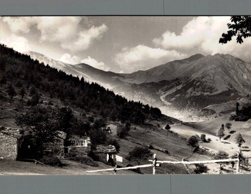 Torino colletto del forno - colletto,