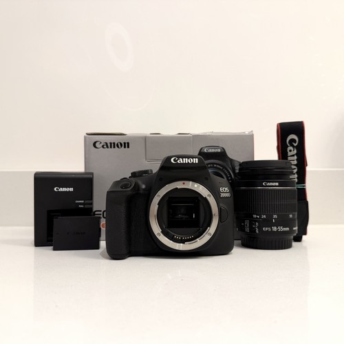 Canon eos 2000d megapixel - 24,1,