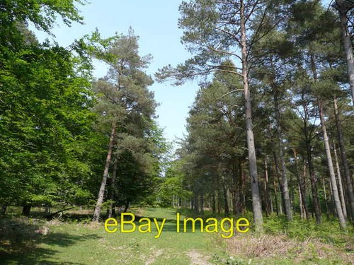 Photo 6x4 ride milkham - 6x4,