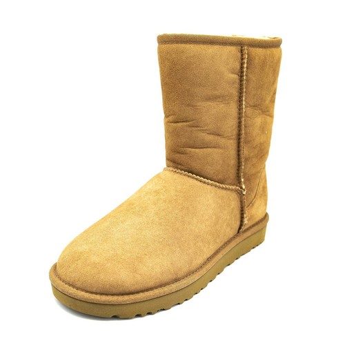 Classic chestnut beige - ii,
