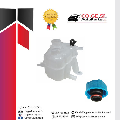 Vaschetta acqua radiatore con - radiatore,