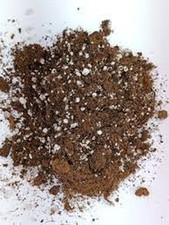 Torba Acida Di Sfagno E