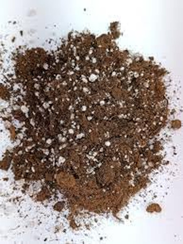 Torba acida sfagno e - torba, di