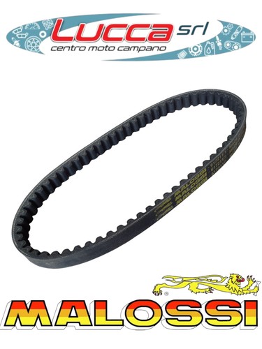 617211 cinghia kevlar malossi - cinghia,