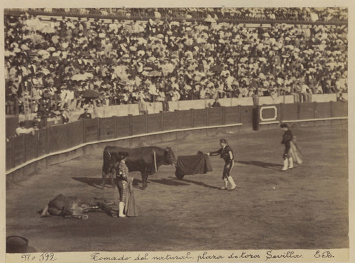 Espagne sevilla tomado - e.,