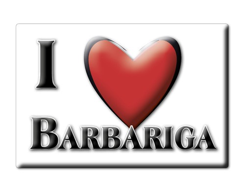 Calamita barbariga - barbariga,