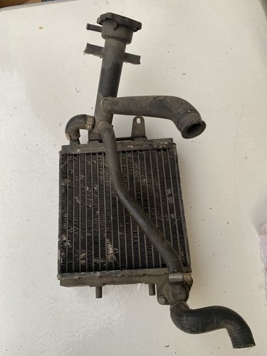 Radiatore ipra termostato - radiatore,