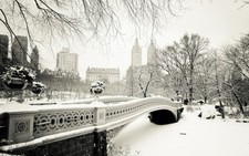 STAMPA SU TELA CANVAS NEW YORK CENTRAL PARK NEVE BIANCO E NERO CITTA' 60X100