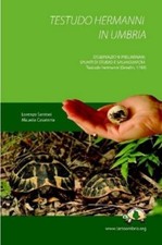 Lorenzo Santoni Testudo