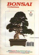 Bonsai Création No 6. PINCAGE. Masahiko Kimura. SUISEKI. Tachiagari HETRE Mûrier