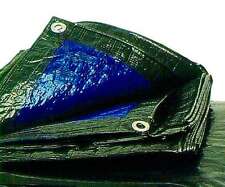 TELONE TELO OCCHIELLATO MT 10