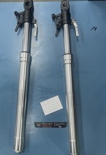 steli forcella benelli bn 302