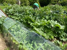 Cloche Wire Frames 10 set di