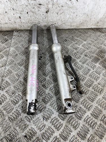111743 coppia steli forcella - coppia,