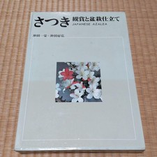 Japanese Azalea Bonsai Satsuki