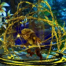 GW2 Guild wars 2 armi