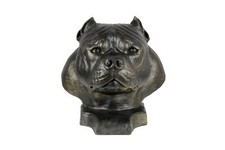 American Bully II Harzurne