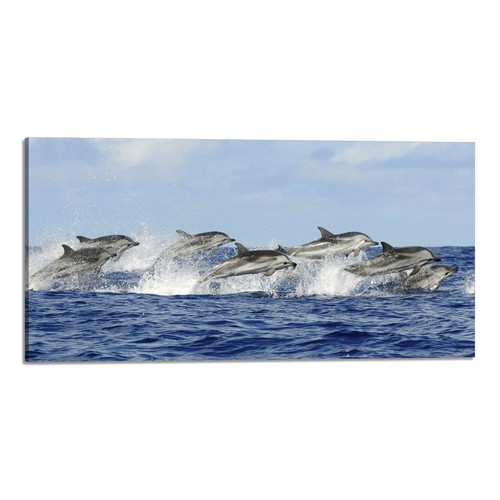 Quadro stampa tela con - su,