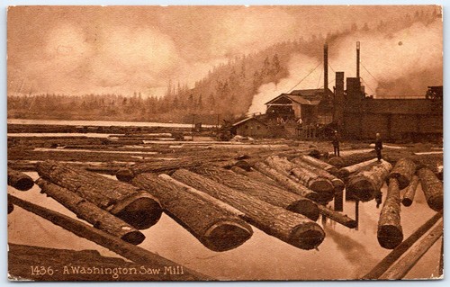 Cartolina washington segheria - cartolina,
