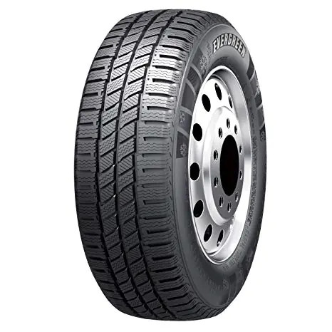 Gomme invernali evergreen - gomme,