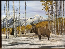 Bull elk landscape - elk,