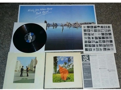 Pink floyd wish you - wish, were