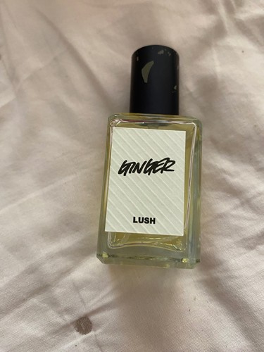 Profumo zenzero - profumo, di