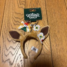 Pokemon Eevee Costume