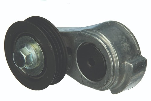 Tensionatore cinghia - tensionatore,