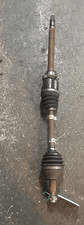 51795511 Semialbero ant