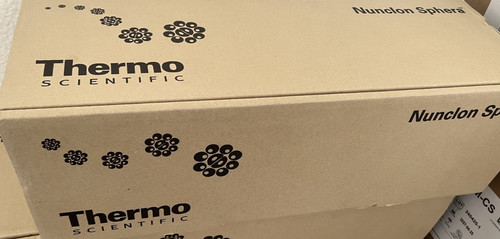Borraccia thermo nunc 174952 - thermo,