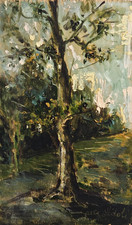 Dipinto Olio su tavola SIDOLI Carla Alberta 1919-1984 Paesaggio Bosco Autentica