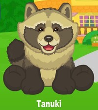 Webkinz Classic Tanuki -