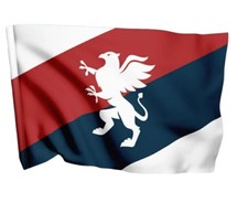 Bandiera stadio compatibile