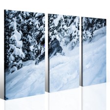 Tela canvas sci pista - -, neve