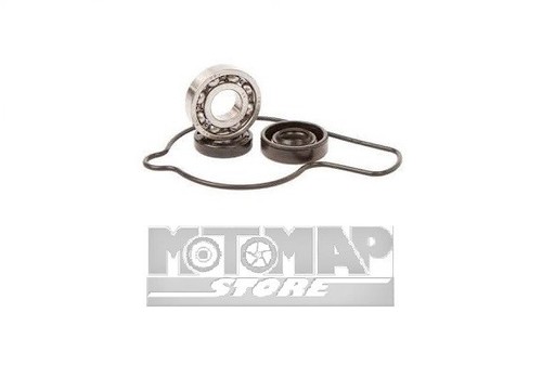Kit revisione pompa acqua - kit,