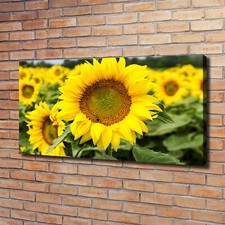Tulup Dipinto Su Tela Pittura