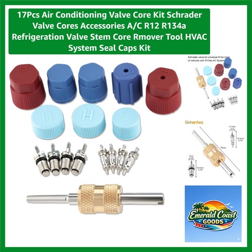 17pcs kit nucleo valvola aria - nucleo,