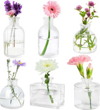Vaso Di Fiori Piccolo,Set Di 6