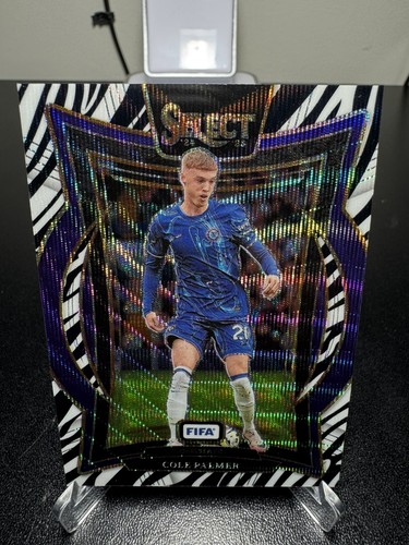 Cole palmer 2024 panini - cole,