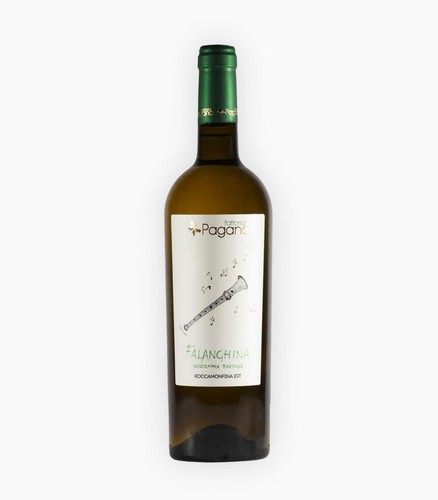 Vino bianco campano grande - campano, di