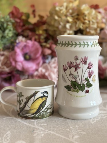 Vaso ciclamino giardino