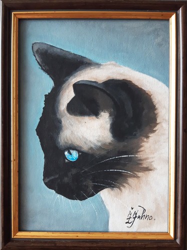 Quadro gatto siamese - , animale